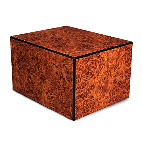 Photo 1 of Unforgettable Urns-Large Burl Wood Cremation Urn for Adults -Memorial Box for Ashes-Large (up to 205 lbs/205 Cu. in)-Cremation Container for Human or Pet Ashes
