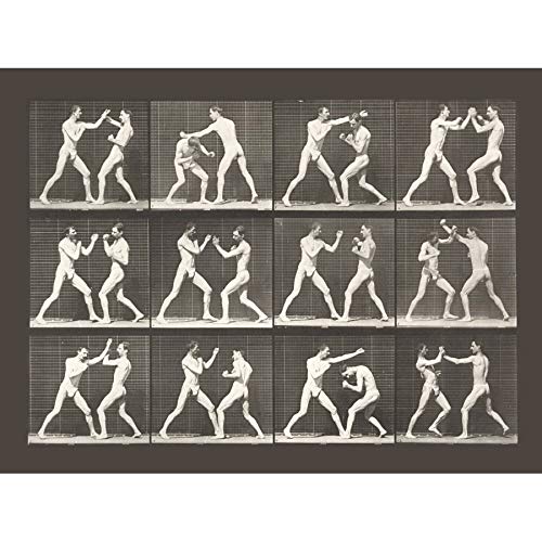 Artery8 Muybridge USC 2 Men Boxing Consecutive Phases 1886 Photo Art Print Canvas Premium Wall Decor Poster Mural