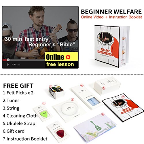 5 Mahogany+Beginner+Cleaning+Instruction+AKLOT