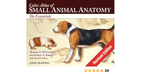 Color Atlas Of Small Animal Anatomy The Essentials Amazon Com Br