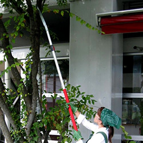 ARS SC-EXW18 Telescoping Pole Saw