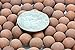 Fedmax Slingshot Ammo, (1,100pc) 3/8