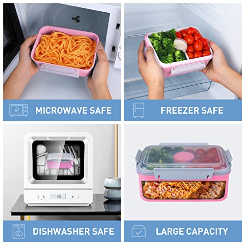 DANIA & DEAN Lunch Container Bento Box for Kid/Adult, Large 54oz Salad