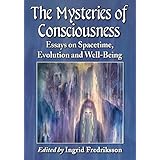The Mysteries of Consciousness: Essays on Spacetime, Evolution and Well-Being