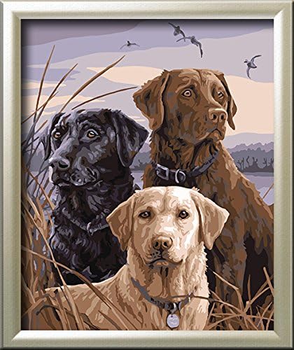 DIY PBN-paint by numbers Three Puppy 16-by-20 inches Without Frame