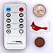 Christmas Tree Cardinal String Lights, Red Snow Bird Decorative Ornaments 10 ft 40 LEDs Battery Operated with Remote Timer for Wedding Birthday Parties Bedroom Home Holiday Decoration