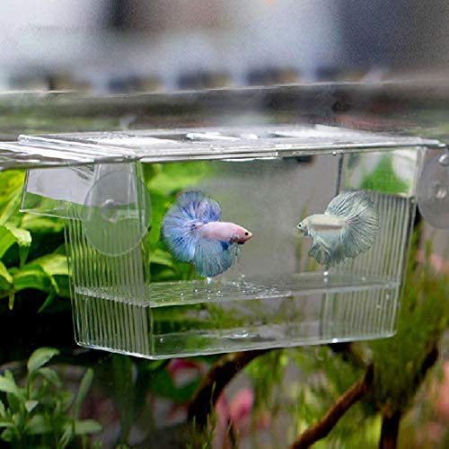 4 Tfwadmx+Aquarium+Box+Hatchery+Incubator+Isolation