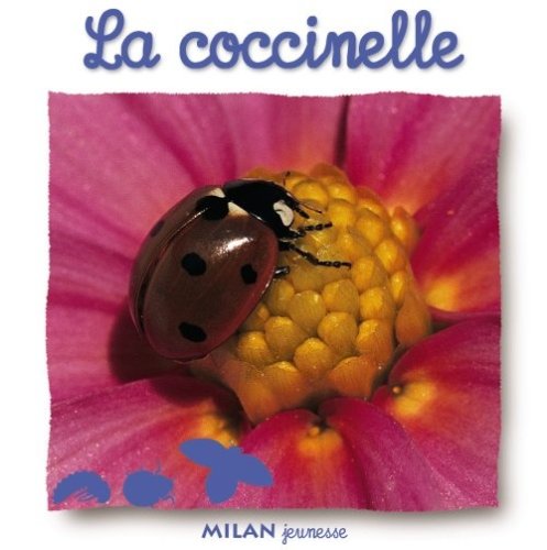 La  coccinelle