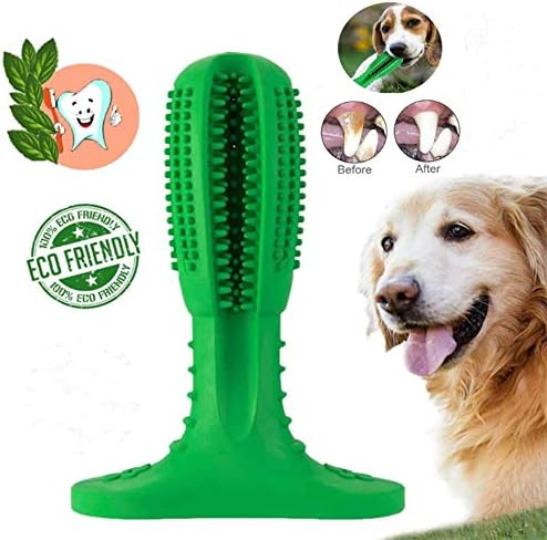 dog toothbrush stick