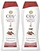 Olay Body Wash - Ultra Moisture - Limited Edition Cinnamon Spice - Winter Collection - Net Wt. 23.6 FL OZ (700 mL) Per Bottle - Pack of 2