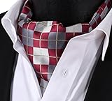SetSense Men's Plaid Jacquard Woven Self Cravat Tie Ascot