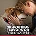 Hill's Science Diet Small & Mini, Adult 1-6, Small & Mini Breeds Premium Nutrition, Wet Dog Food, Beef & Vegetables Stew, 3.5 oz Tray, Case of 12