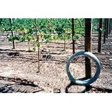Grapevine Trellis Wire - 9 Gauge 170 Feet