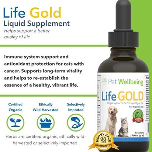3 Pet+Wellbeing+Life+Gold+Cats