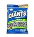 GIANTS Dill Pickle Sunflower Seeds - Sunflower Seeds Bulk, Big Sunflower Seeds to Eat, Roasted Pickle Sunflower Seeds, 8g Protein Per Serving - 5 oz Resealable Bags (Pack of 12)