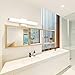 JUSHENG Vanity Light 24.4 inches LED Vanity Light 16 W White Acrylic Rectangle Tube Neutral White 4000K