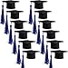 Hicarer 12 Pack 2024 Mini Graduation Caps with tassels Grad Hat Cake Wine Bottle Toppers for Graduation Party Decorations(Dark Blue)