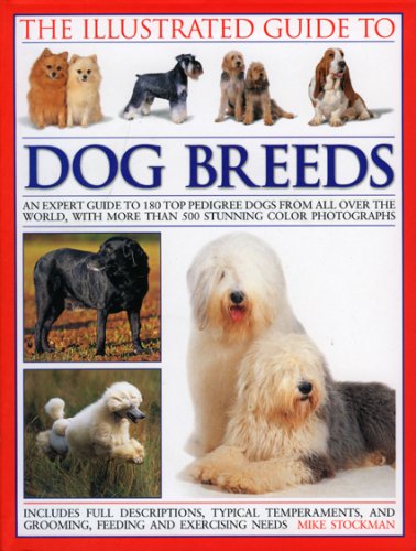 top pedigree dogs