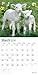 2016 BABY ANIMALS Wall Calendar