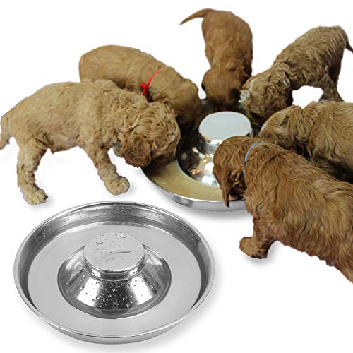 Podinor Stainless Steel Puppy Dog Bowls, Pets Puppies Feeding Food and