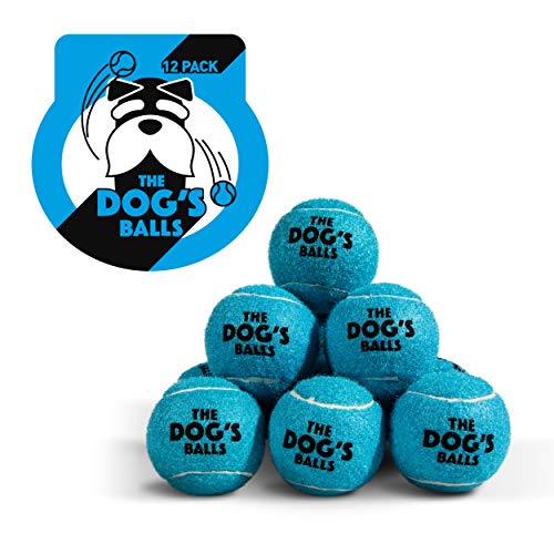 the dogs balls