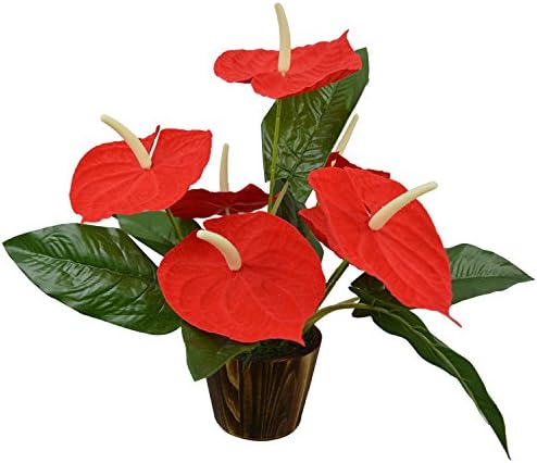 Fancy Mart Artificial Flower Enthurium in Wood Round Big Pot (Red, 38 Cm/15 Inchs)