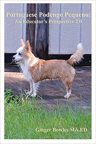 portuguese podengo price