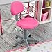 Calico Designs Study Zone II Desk & Chair -