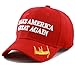 The Hat Depot Exclusive 45th President Trump Make America Great Again 3D Cap (Red-Flag)