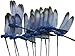 LeBeila Dragonfly Outdoor Decor for Yard Planter Decorations Gardening Stakes 3D Dragonfly Art Craft Garden Ornament and Patio Yard Party Pot Flower Decals Statues 7 CM (10, Blue)