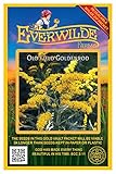 Everwilde Farms - 2000 Old Field Goldenrod Native