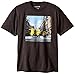 Despicable Me Big Boys' Short Sleeve T-Shirt Shirt, Charcoal Heather, Large/14-16