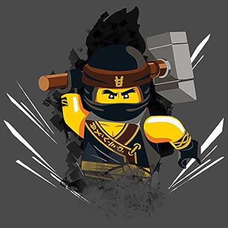 cole the lego ninjago movie