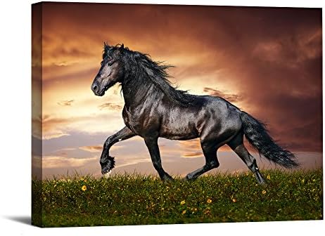 1 Piece With Framed Prints Artwork Horse Pictures Paintings on Canvas Wall Art for Home Decor 12"X16" Ready to Hang (2)