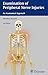 Examination of Peripheral Nerve Injuries: An Anatomical Approach