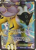Pokemon - Raikou-EX (105/108) - BW - Dark Explorers - Holo