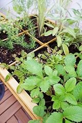 VegTrug 8 Pocket Herb Planter Natural – Raised Bed for Herbs view 18
