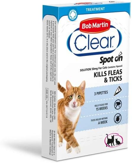 teacup monkey for sale