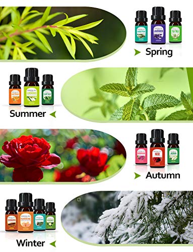 Diffuser with Essential Oils Included, 500ml Aromatherapy Diffuser with Essential Oil Set 6x10mL, Super Quiet Essential… - Image 4