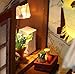Flever Dollhouse Miniature DIY House Kit Creative Room with Furniture for Romantic Valentine's Gift - Izakaya