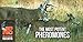 Nationwide Scents Doe Estrus Buck Attractant Whitetail Lure Hunting Scent Urine | Make Deer Scrape (2 oz Bottle)