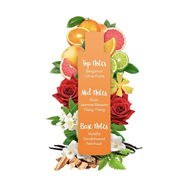 Sanctuary Spa Body Lotion, Wet Skin Moisture Miracle Vegan Body Moisturiser, Cruelty Free, 200 ml