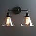 Phansthy 2-Light Industrial Wall Light Antique Black Sconce Wall Light Fixture with 7.3 Inches Cone Clear Glass Lampshade 180 Degree Adjustable (2-Light Clear)