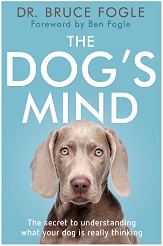 Dog's Mind