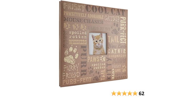 amazon broadline for cats