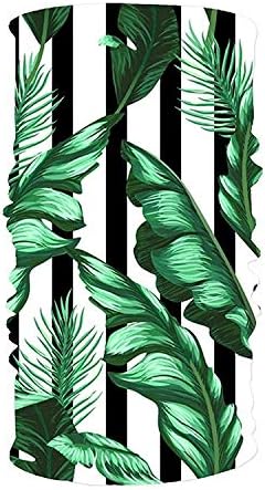 headscarves sky Headband Dancing Fruits Headwear Sport Sweatband Yoga Head Wrap for Men Women