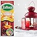 Zoflora 6 X120ml WINTER ASSORTMENT CONCENTRATED ANTIBACTERIAL DISINFECTANT 2 X WARM CINNAMON 2 X WINTER SPICE 2 X CRANBERRY AND ORANGE KILLS BACTERIA Bottle