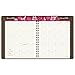 AT-A-GLANCE Weekly / Monthly Appointment Book / Planner 2016, Sorbet, 8.25 x 10.88 Inches (794-905)