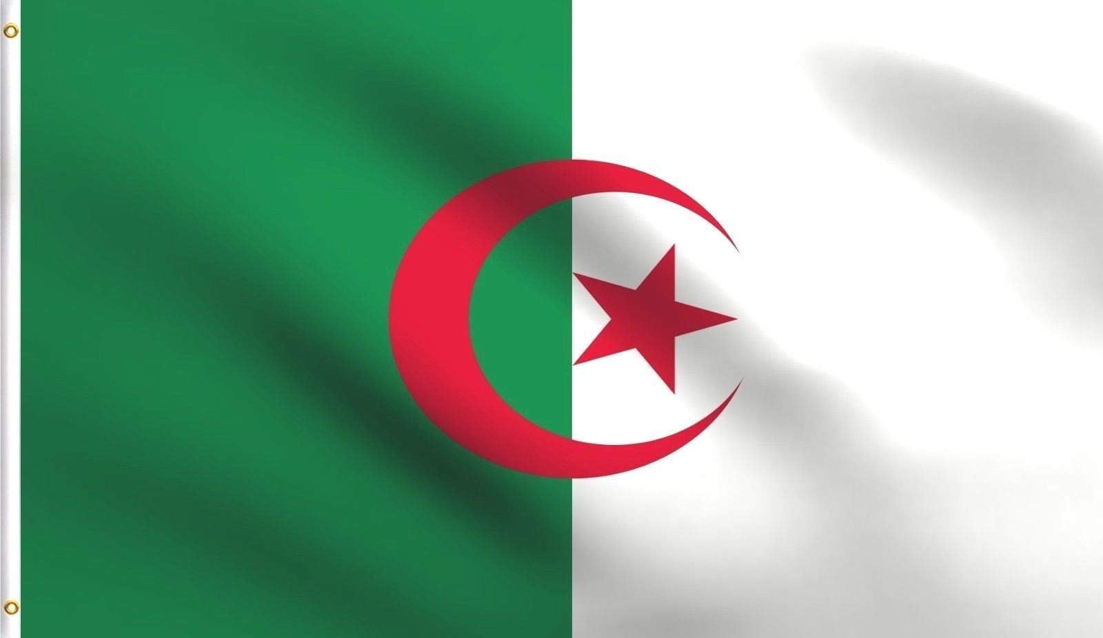 ALBATROS 3x5 Foot Algeria Flag Algerian Republic - Made of Durable 100D Polyester - Two Brass Grommets