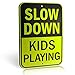 Signs Authority Slow Down Sign XL 18